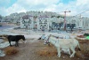 Еврейские поселения на Западном берегу остаются камнем претконовения в палестино-израильском переговорном процессе